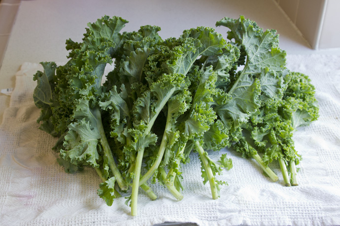 fresh kale