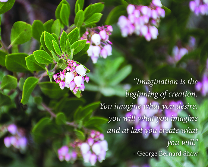 creativity - George Bernard Shaw